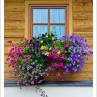 Typical floral adornments in Austria