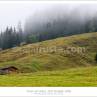 Landscape under the fog in Austria