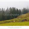 Landscape under the fog in Austria