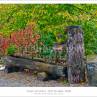 rim-1dmk3-08-8501-blog