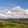rim-1dmk3-07-1403-blog