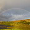rim-1dmk3-07-2062-blog