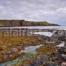 rim-1dmk3-07-2650-blog