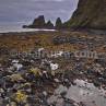 rim-1dmk3-07-2657-blog