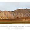 Multicolored rhyolite mountains in Landmannalaugar