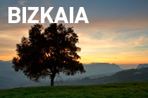 Galeria Bizkaia