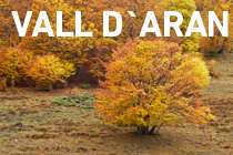 Galeria Vall d Aran