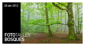 Fototaller Bosques